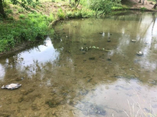 Пивоварам придется заплатить за загрязнение подмосковной земли