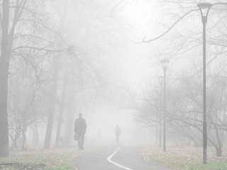 Утренний туман в Подмосковье рассеется к этому часу
