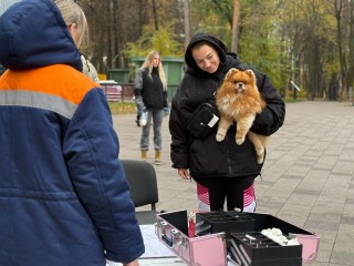 Жители округа смогут бесплатно привить питомцев в городском парке