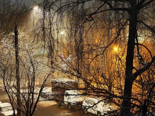 Удачный день для работы и путешествия: чем удивит все знаки зодиака 13 октября