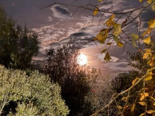 Иванов день: время тайн, домовых и прощания с осенью. Что сулят поверья 1 ноября