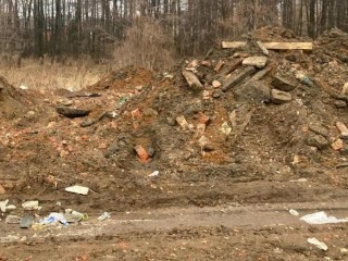 Черная Грязь стала «золотой»: за что Минэкологии требует с предпринимателя ₽12 млн