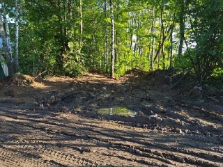 Вынесено решение о возмещении ₽13 млн ущерба от свалки в Щелкове