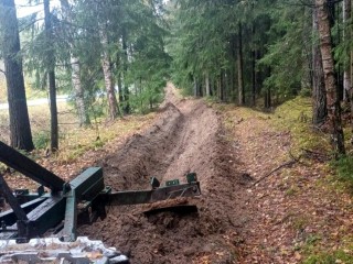 В Орехово-Зуеве завершают создание защитных полос для спасения лесов от огня