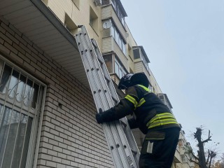 Пожарные Звенигорода спасли выпавшего с четвертого этажа кота Арчи