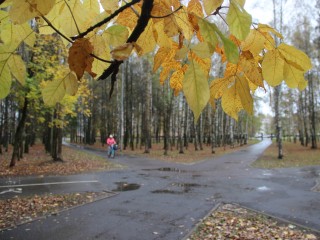 Что запрещается делать православным 29 октября в день мученика Лонгина Сотника