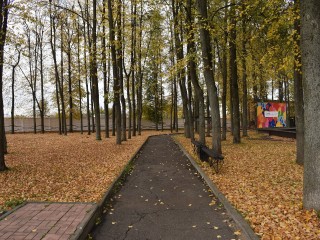 Игровые программы в городском парке перенесли из-за опиловки деревьев