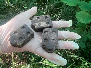 В лесах Зарайска раскладывают вакцину от бешенства