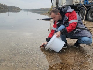 Мальков краснокнижной стерляди выпустили в Оку под Серпуховом