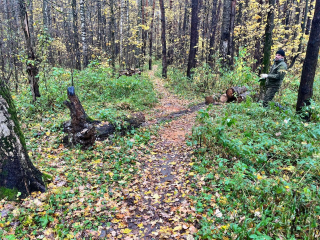 Лесные тропы рядом с микрорайоном Климовск стали безопаснее для прогулок