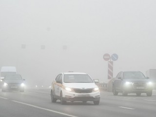 Туман на дорогах Подмосковья: автоэксперт рассказал, как избежать аварий