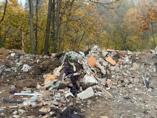 Владельцы участка возместят ₽1,1 млн за незаконную свалку