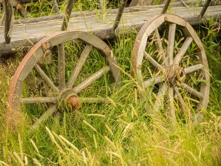 Народный календарь на 30 октября: что категорически запрещается делать в день Осии Колесника