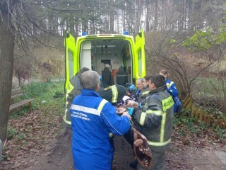Спасатели помогли медикам транспортировать пожилую пациентку в Солнечногорске