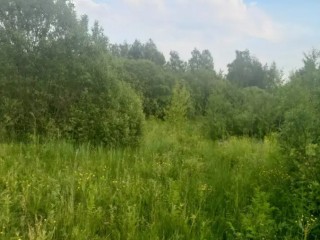В трех округах началась распродажа недвижимости