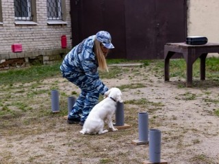 Воскресенские студенты побывали в роли кинологов и криминалистов