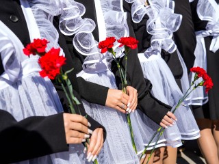 Ко Дню Победы на месте высаженных деревьев в Жуковском установят памятные таблички