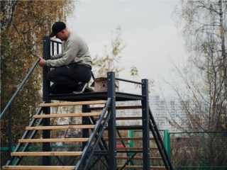 Айда гулять: в Свердловском открылась площадка для выгула и дрессировки собак