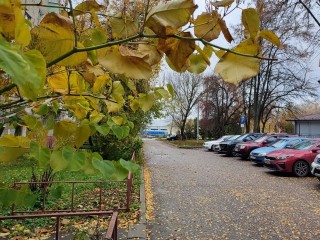 Заморозки и гололед: Гидрометцентр назвал неутешительный прогноз на 27 октября