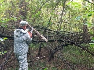 В Сергиевом Посаде завершают санитарную уборку лесов