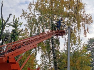 Чтобы ветки не рвали провода: в Солнечногорском округе энергетики 1 ноября проведут опиловку. Каким улицам и населенным пунктам подготовиться