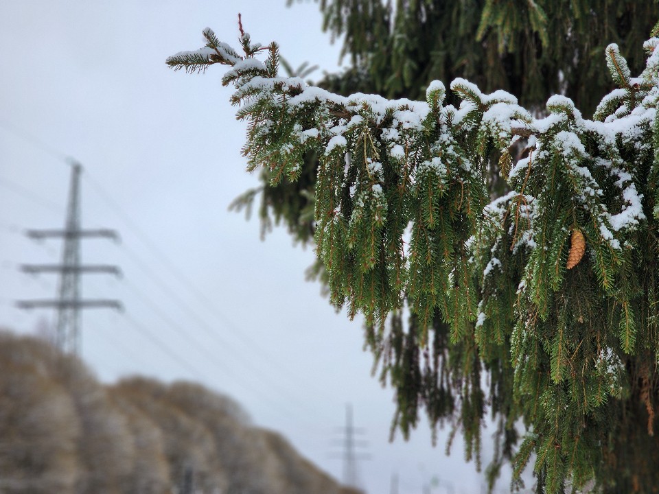 Резкое похолодание, снег и гололед ожидаются в округе 15-16 ноября