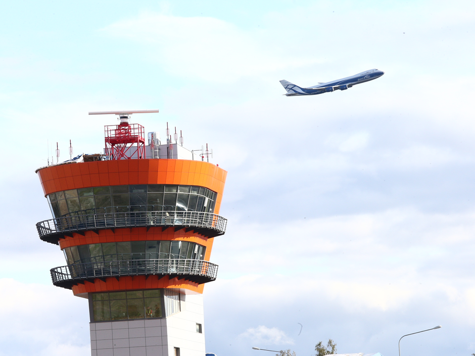 В аэропорту Жуковский расширили штат специалистов по защите от птиц