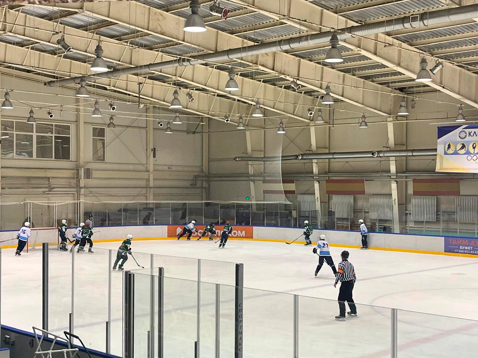 Зарайские хоккеисты потерпели два поражения на первенстве Московской области