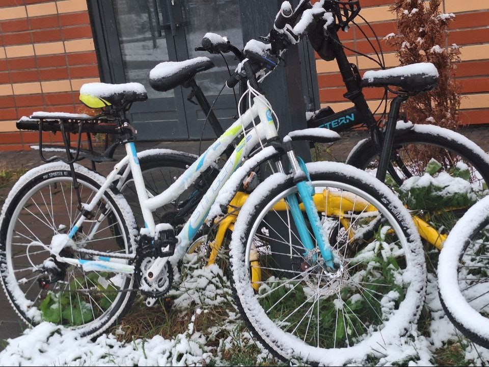 Житель Наро-Фоминска нашел оригинальный способ уберечь велосипед от воров