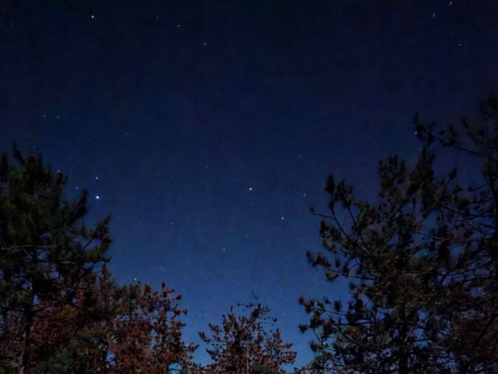 Гороскоп для всех знаков Зодиака 10 ноября 2025: Тельцов и Близнецов ждут новые горизонты, а у Львов и Раков возможны конфликты