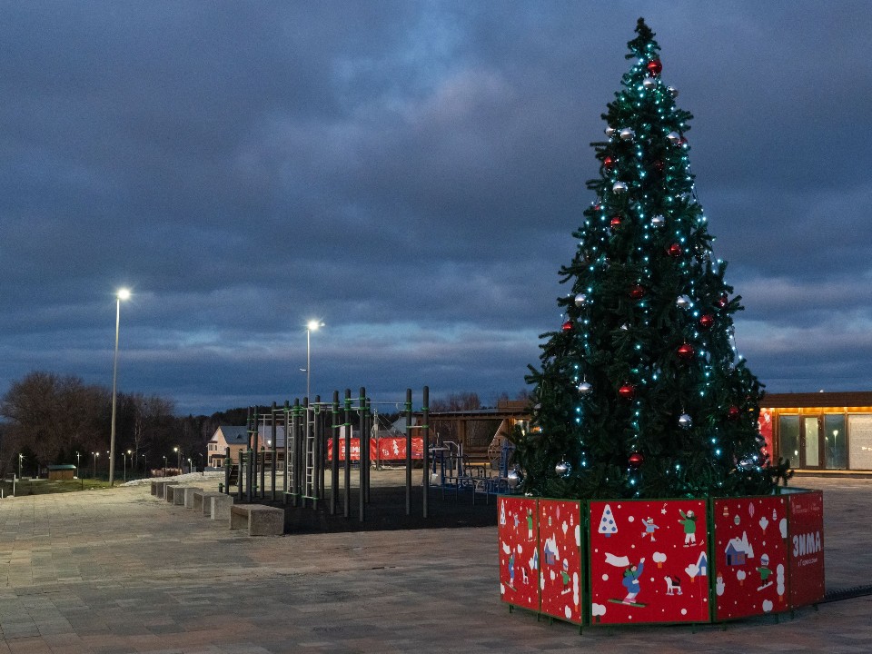 Новый год к нам мчится: первые новогодние елки ставят в Подмосковье