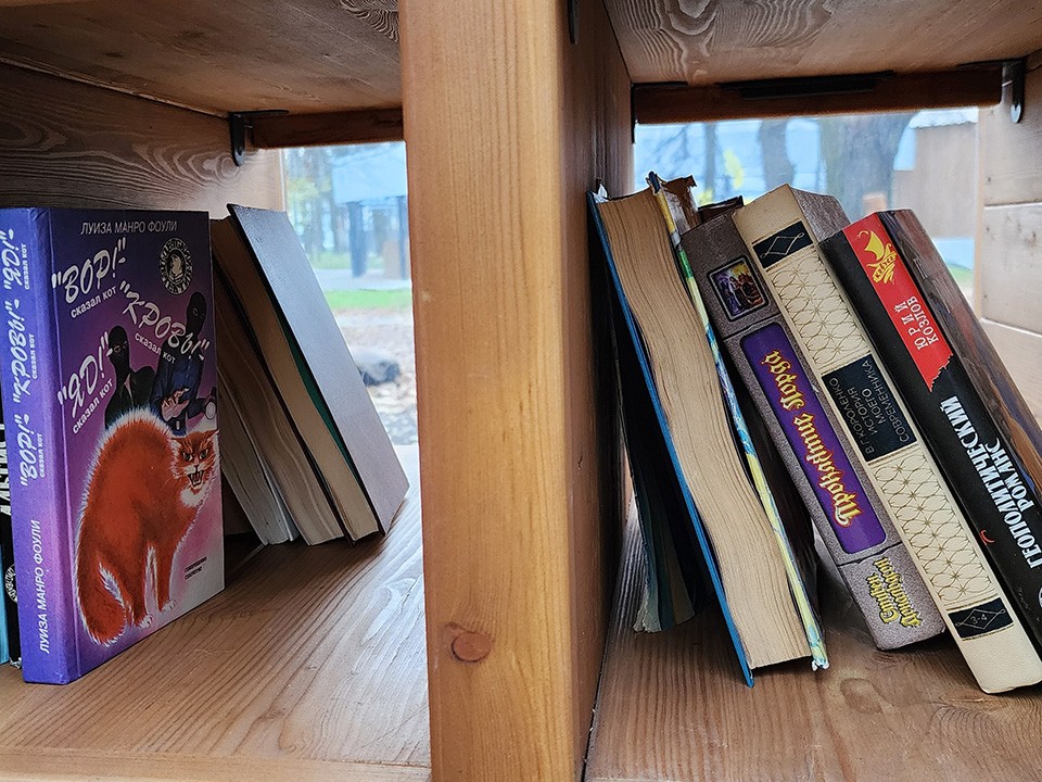 Буккроссинг на свежем воздухе организуют в новом лесопарке в Красноармейске 15 ноября