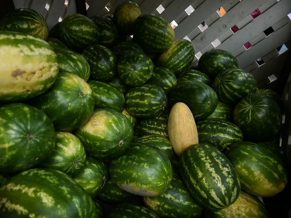 Можно ли есть арбуз в ноябре? Эксперты назвали признаки опасного плода