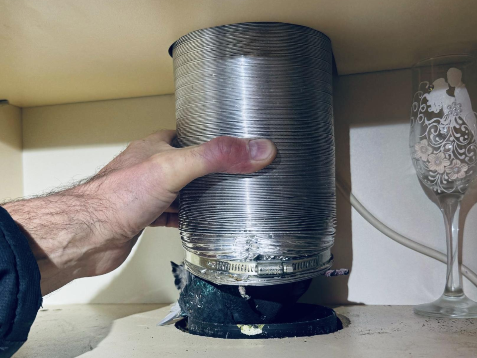 Операция спасения прошла успешно: как жильцы многоэтажки помогли освободить голубя из вентиляции