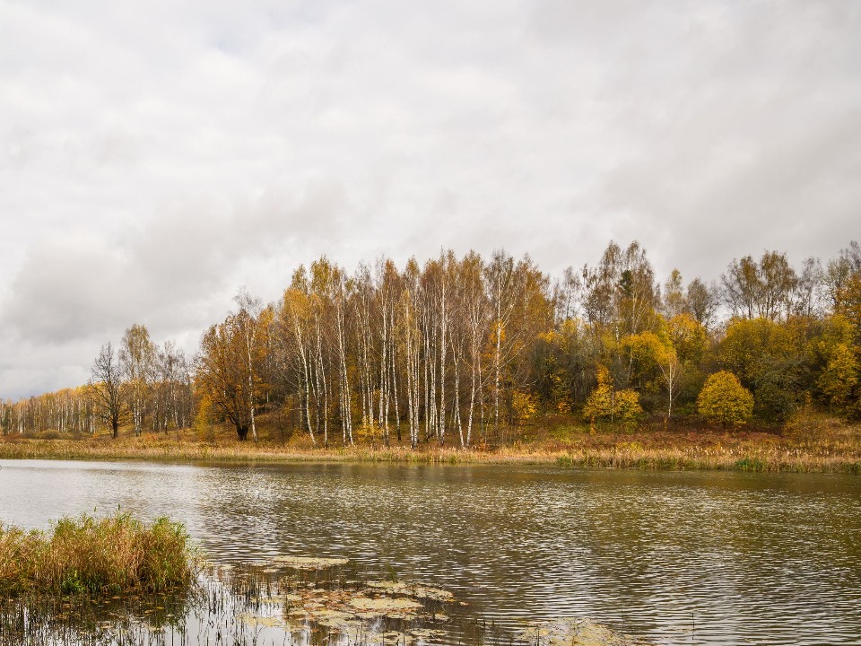 Перевернулась лодка: спасателей привлекли к устранению последствий происшествия на воде в Подмосковье