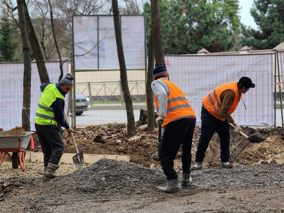 Камеры видеонаблюдения, скамейки и кормушки для белок установят в сквере «Лесная сказка»