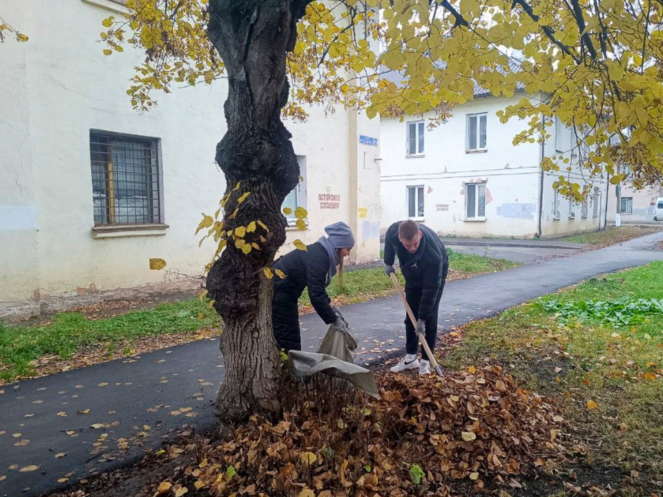 Электростальцы собрали более 500 мешков опавшей листвы