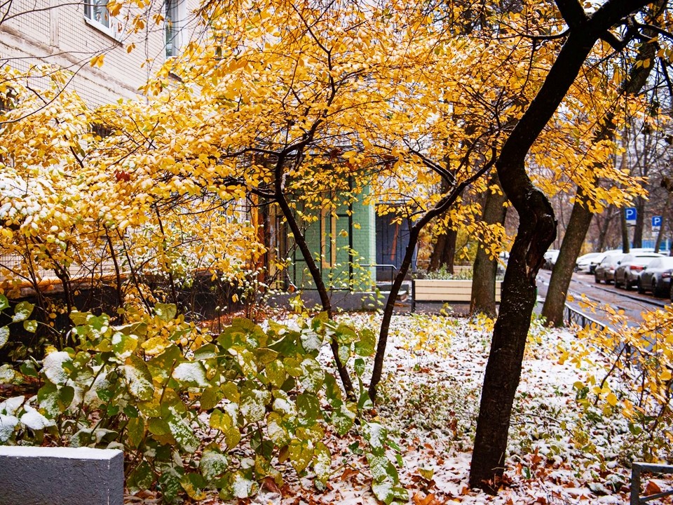 Морозы до минус 5 градусов, а потом резкое потепление: синоптики предупредили о новых погодных аномалиях в Подмосковье