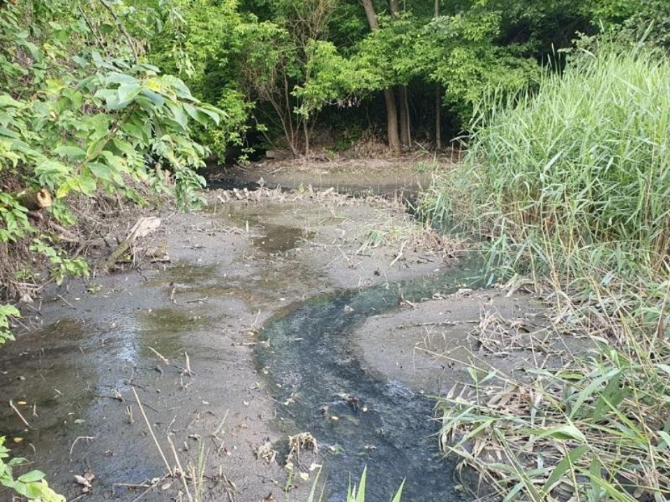Эконадзор по звонку: как жалоба на сброс стоков в Раменском округе привела к проверке и предостережению для владелицы участка