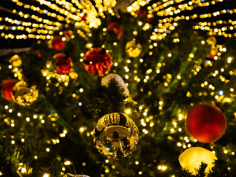 Лотошино зажигает!: главная елка округа засияет 1 декабря