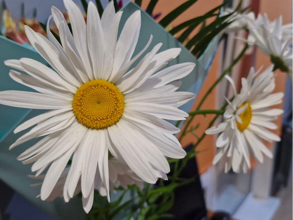 Когда нужно начинать гадать на суженого: традиции и приметы на 6 ноября 2025 года