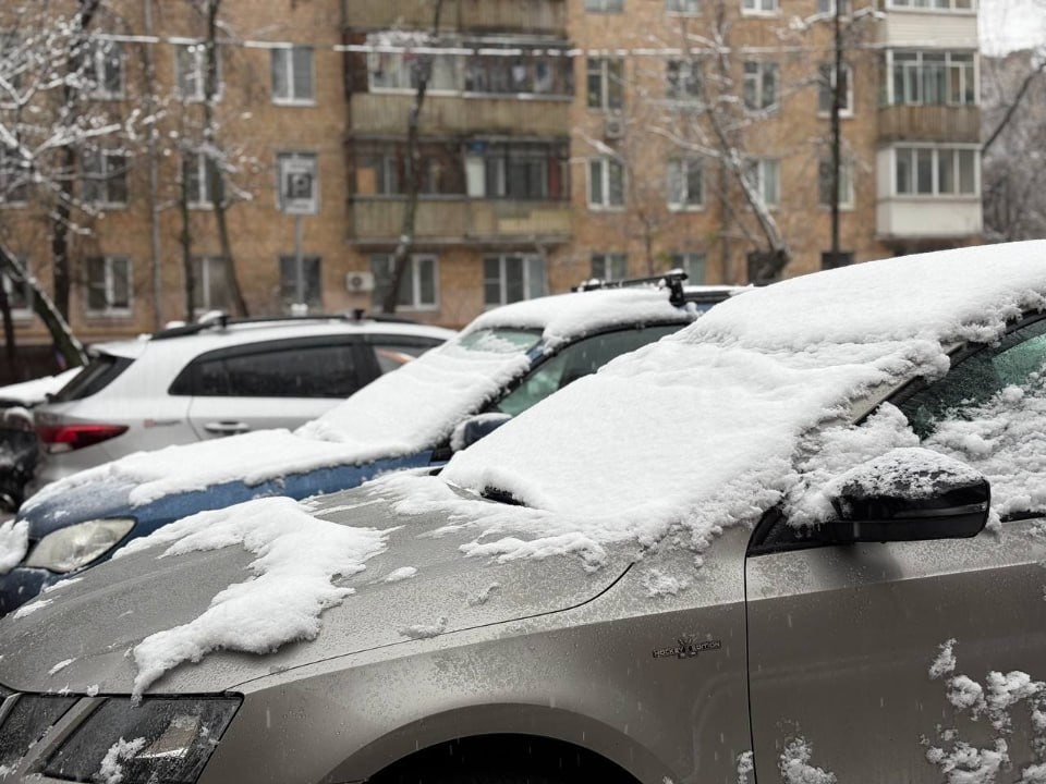 «Ночной погром» на парковке в Москве: во дворе разбили стекла более 10 машин