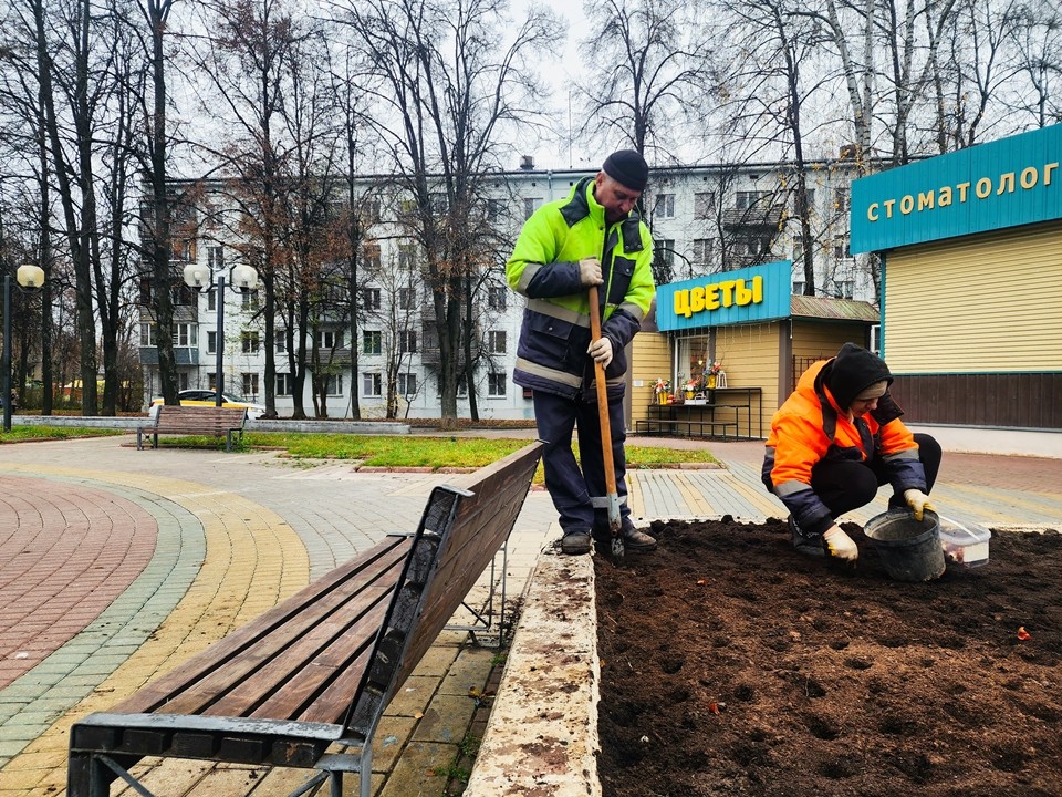 Несколько тысяч тюльпанов украсят Пущино весной
