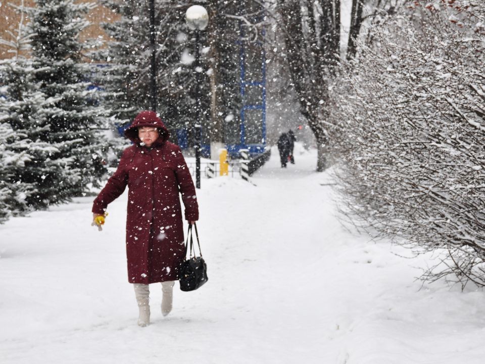 Синоптики спрогнозировали прирост снежного покрова до 4 см в Подмосковье