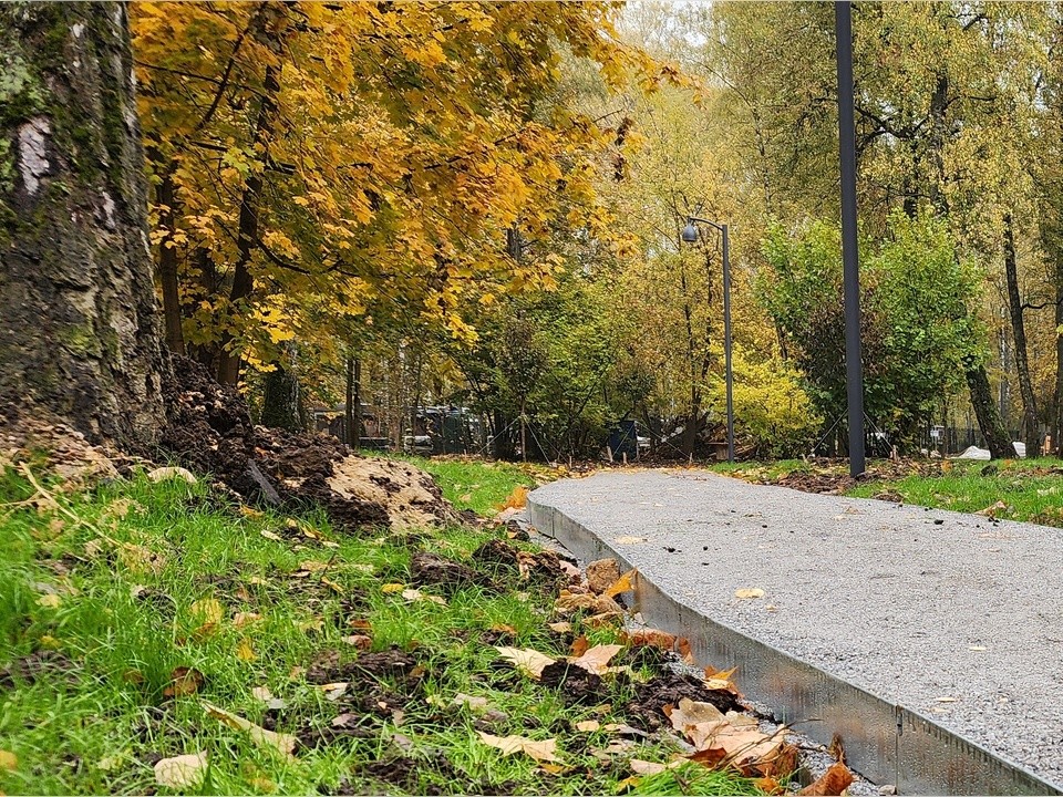 Мужчина в маске и очках пугает посетителей Мытищинского лесопарка