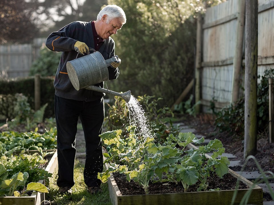Движение — жизнь: как артериальное давление и уровень сахара связаны с деменцией