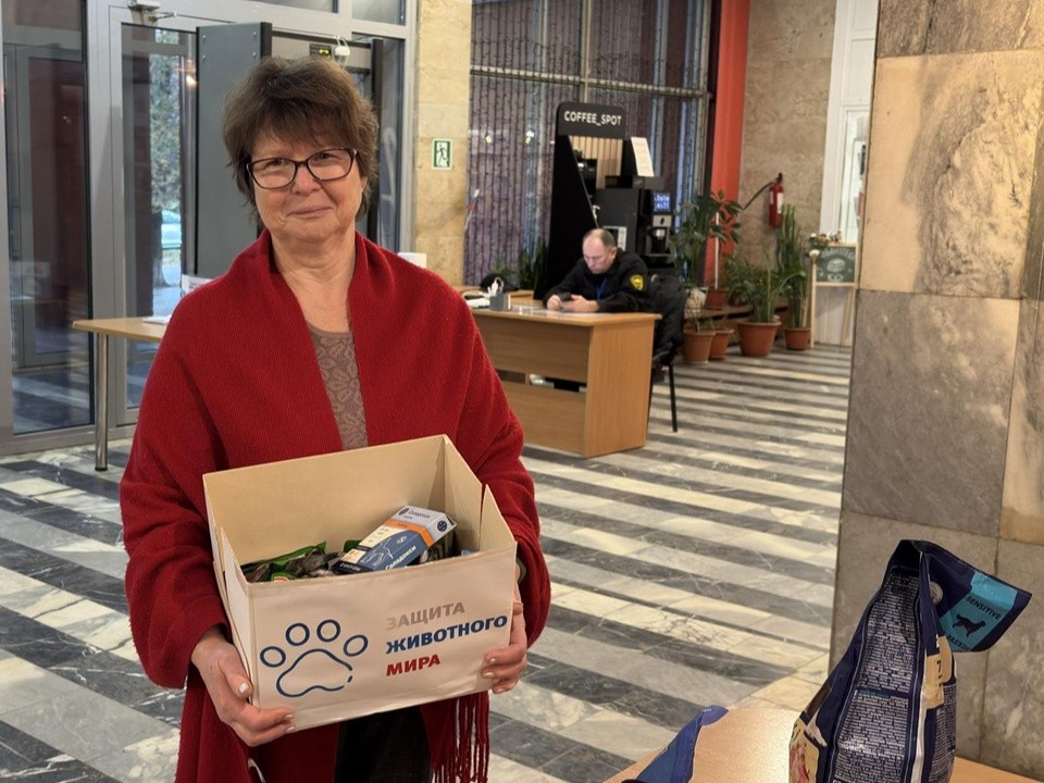 Посылки для собак минно-розыскной службы отправят из Коломны в Курск