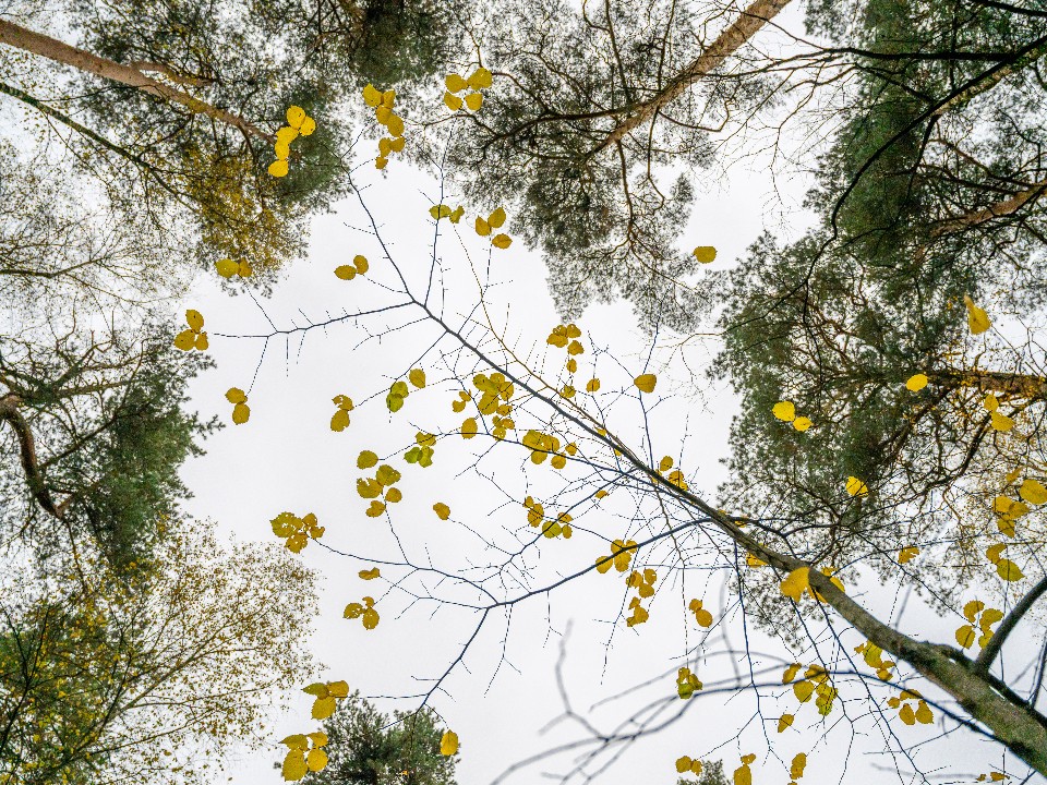 Подмосковье ждет опасная погода на выходных 22-23 ноября 2025