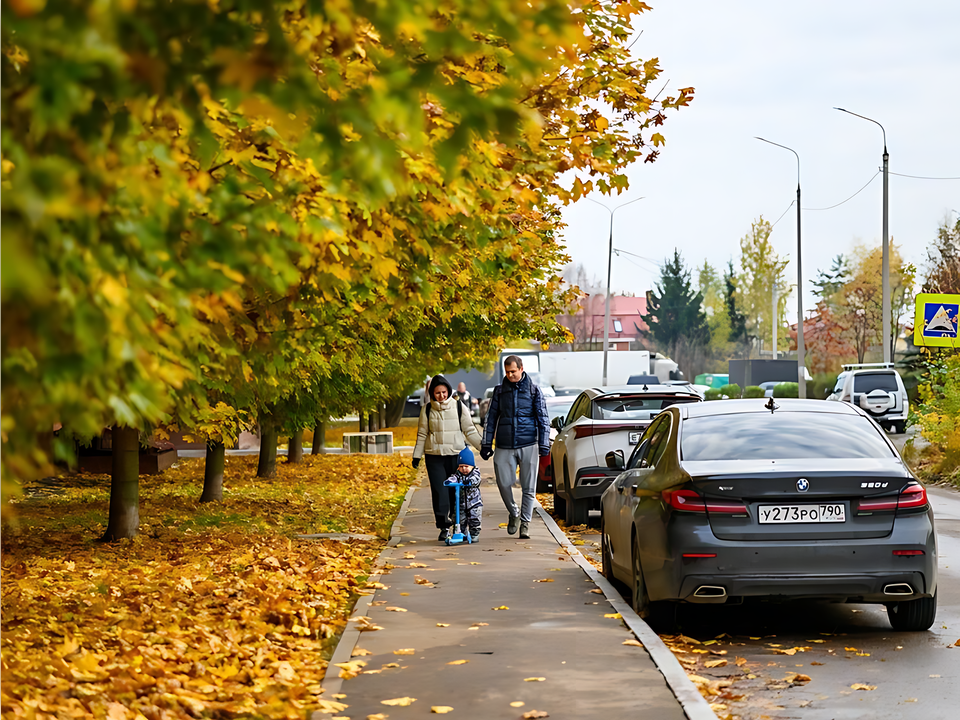 Стало известно, какая погода установится в Подмосковье в праздничные дни