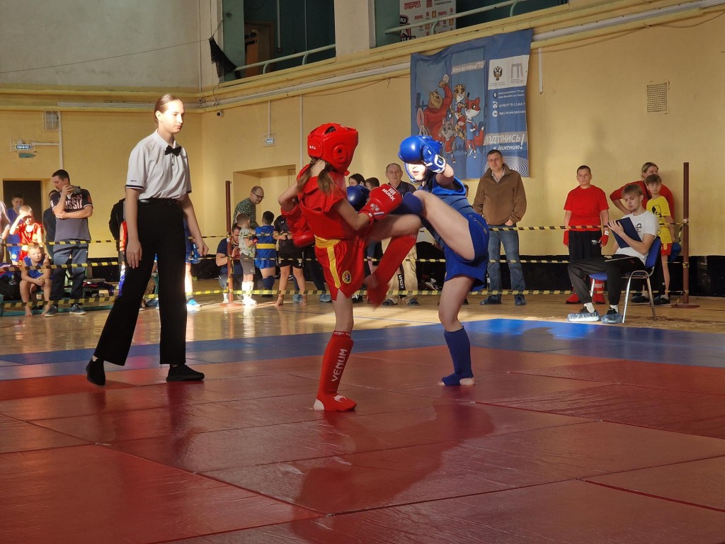 В Воскресенске определили сильнейших в ушу-саньда на Кубке «Химика»